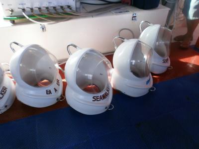 シーウォーカー体験とマニャガハ島