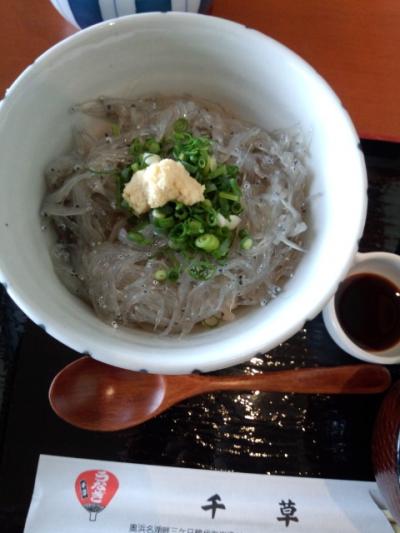 生しらす丼