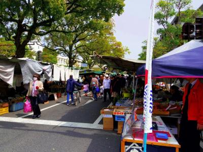 かなり長い距離でたくさんの出店！