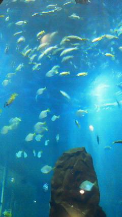 いろんなイベントがあってワクワクできます！