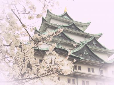 名古屋城と桜