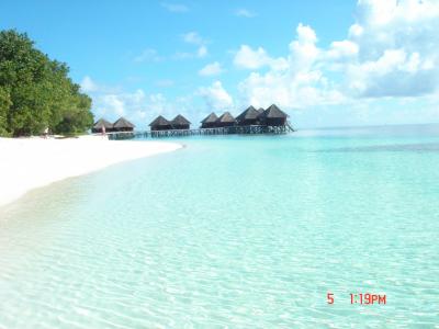 当然ながら、モルディブの海は最高です！