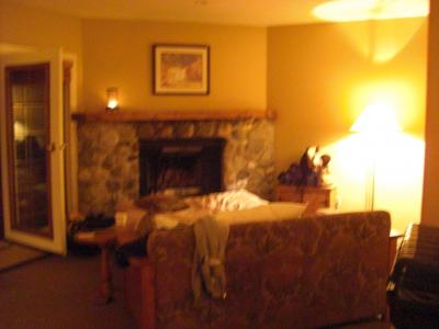 部屋には暖炉があります