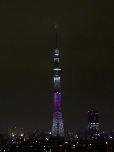 スカイツリーにお散歩できます