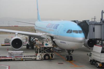 良い航空会社です。