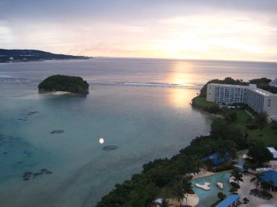 久々にオンワード。