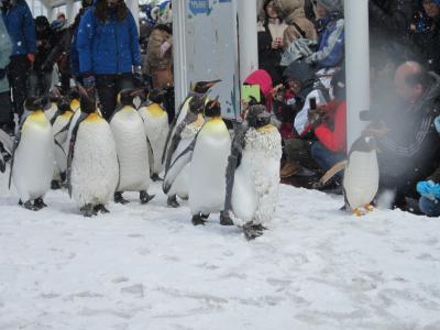 3月末に行ってきました。ペンギンのお散歩まだやっていましたよ。