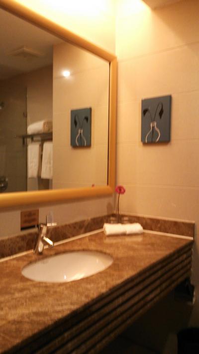 洗面台や鏡は大きい