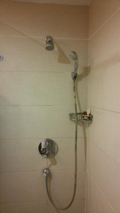 ホース付のシャワー。温度調節も簡単で快適。