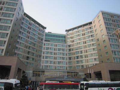 オーシャンビューのホテルを楽しむ