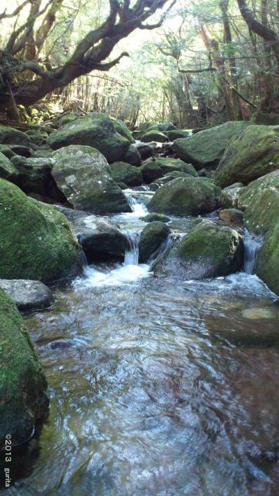 白谷雲水峡 （しらたにうんすいきょう）