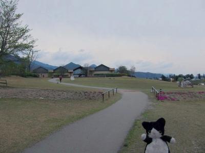 広々した公園と美術館