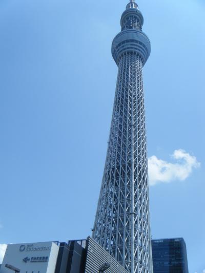 東京タワーとちょっと違う視点ではありますが・・・