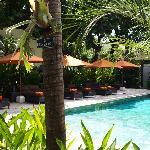 空いているプール