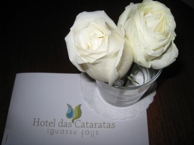 文句なしの５つ星　イグアスの滝絶景まで徒歩１分