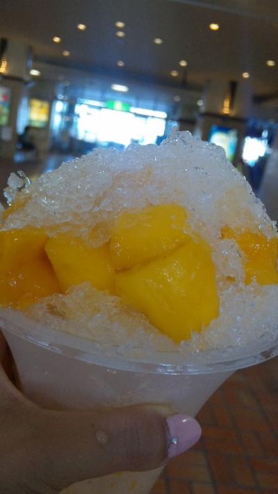 慶良間諸島へ行くならとまりん！そしてマンゴーかき氷は絶対食べて！