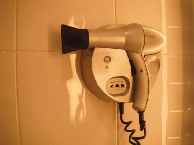 ノボテル、メルキュール共通の協力なドライヤー