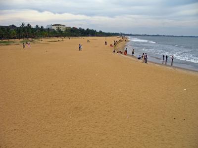 茶色いネゴンボの砂浜８月は波が荒く泳げません
