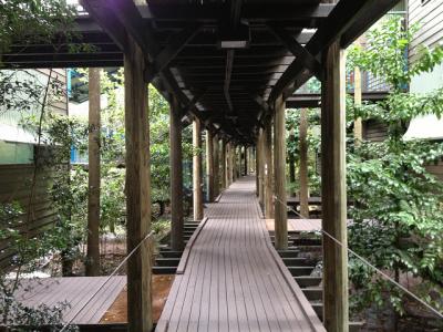 ホテルの廊下。ホテル内も自然が豊か。雨が酷い日は廊下でも雨が