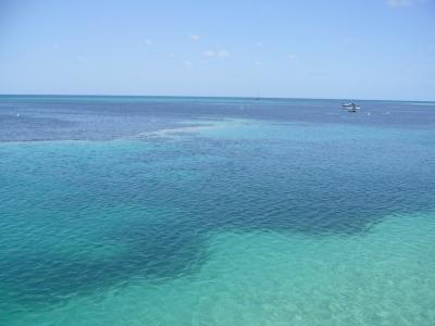 グレートバリアリーフ