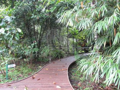 ロッジの前の木道。