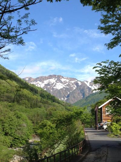 癒されました。