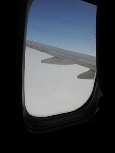 機内食がおつまみスナック一個に…