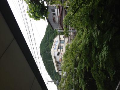 猿のロープウェイ