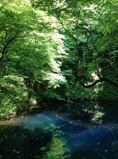 神秘的な秘境散策