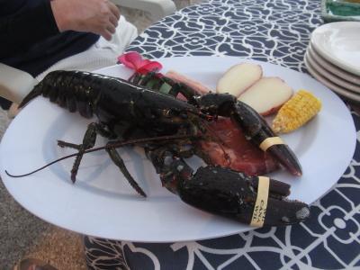 アットホームなＢＢＱやさん！