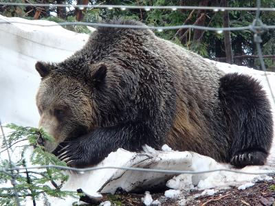 本当は絶景なのだろうけど・・・