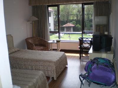 中庭には小さなプールあり