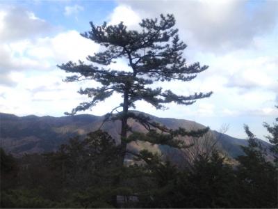 リフレッツ箱根早雲