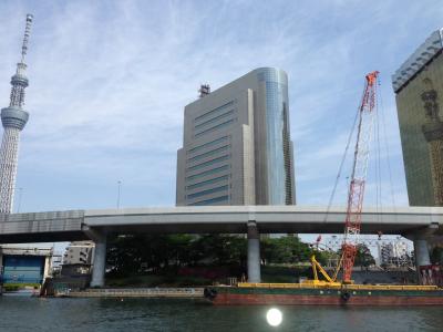 ビルに写るスカイツリー