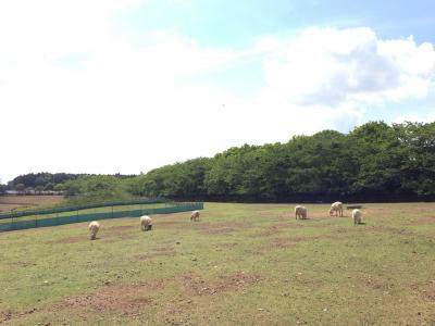 のどかです。天気がよければゆっくりできます。