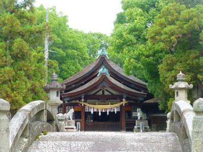 知立神社内　「知立公園　花しょうぶ祭り」に行ってきました