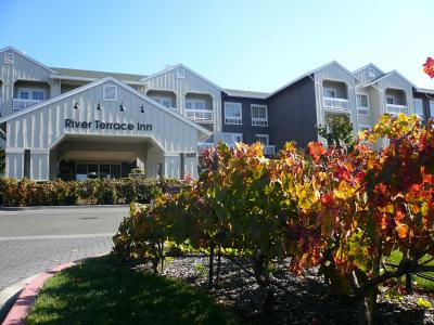 エントランス前に葡萄の木