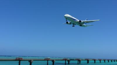 やってました～