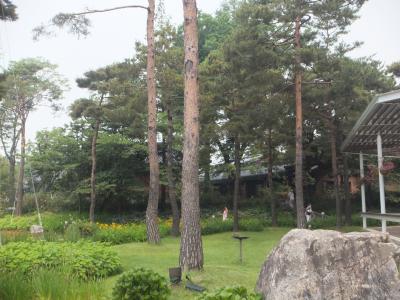 広い敷地に建っています木々に囲まれています。