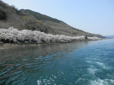 桜の季節におすすめ