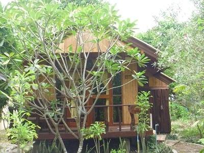 外から見た感じ。