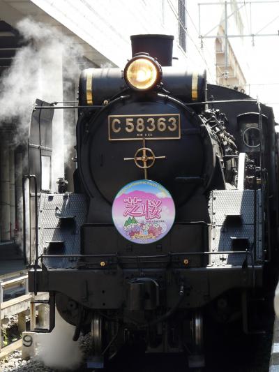 のんびり汽車旅