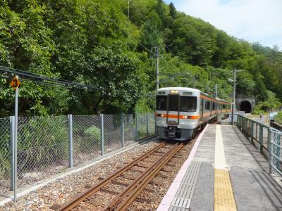 吊り橋からの景色は絶景！