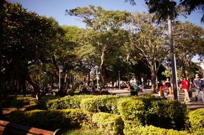 木々や花が美しい広場です