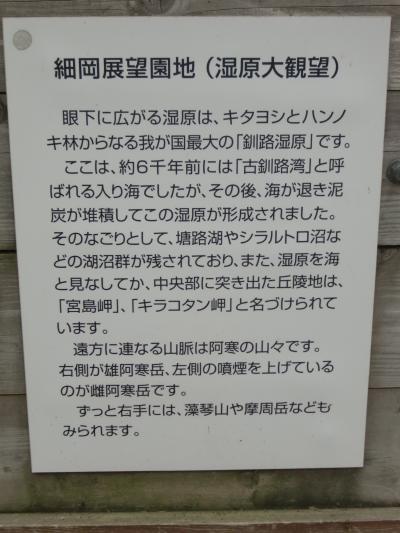 ノロッコ列車に乗り遅れ