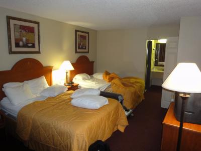 一人で宿泊するには十分な広さ