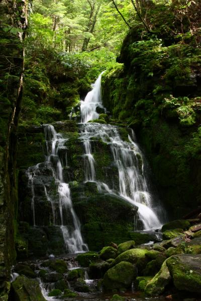 苔むした岩を流れ落ちる滝