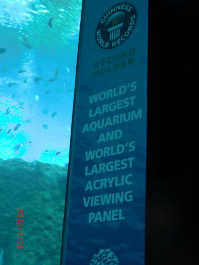 ギネス認定水槽　世界一！