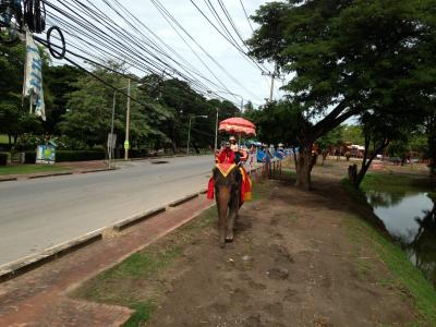 アユタヤで象乗り