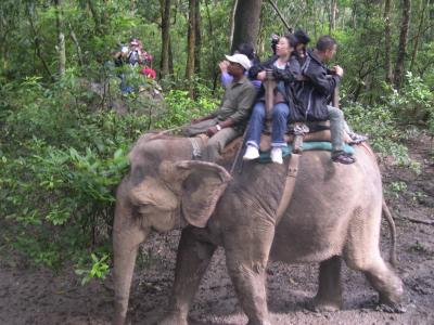 チトワン国立公園観光